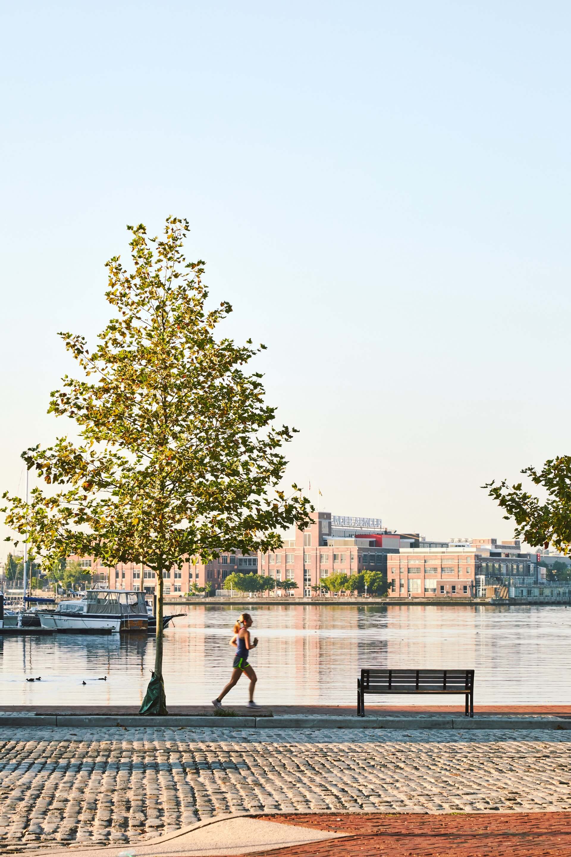 Liberty gallery image